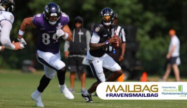 Baltimore Ravens logo