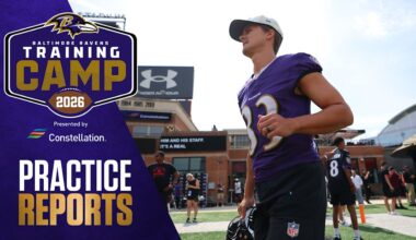 Baltimore Ravens logo