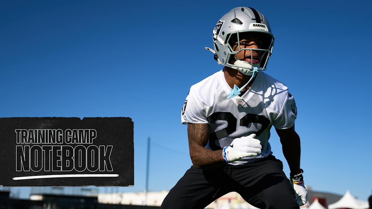 Las Vegas Raiders logo