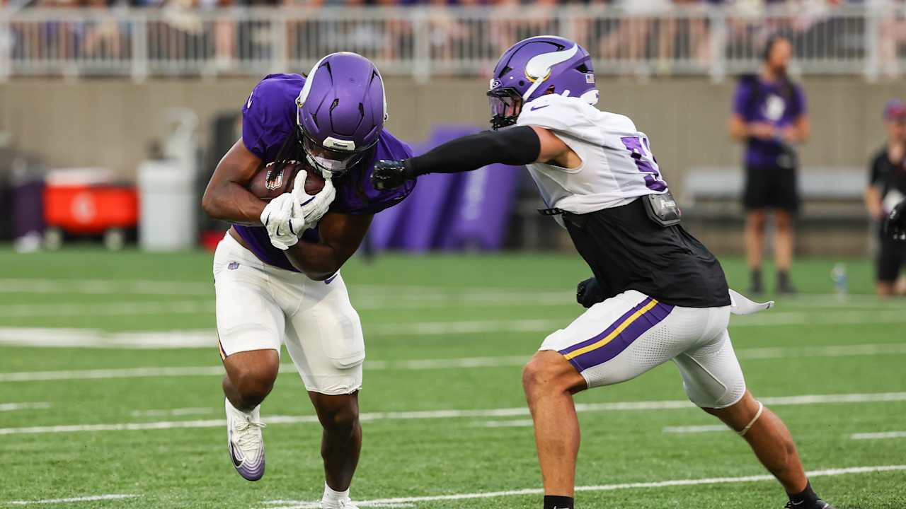 Minnesota Vikings logo