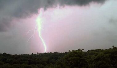 Kids on SC football field during lightning strike, deputies report