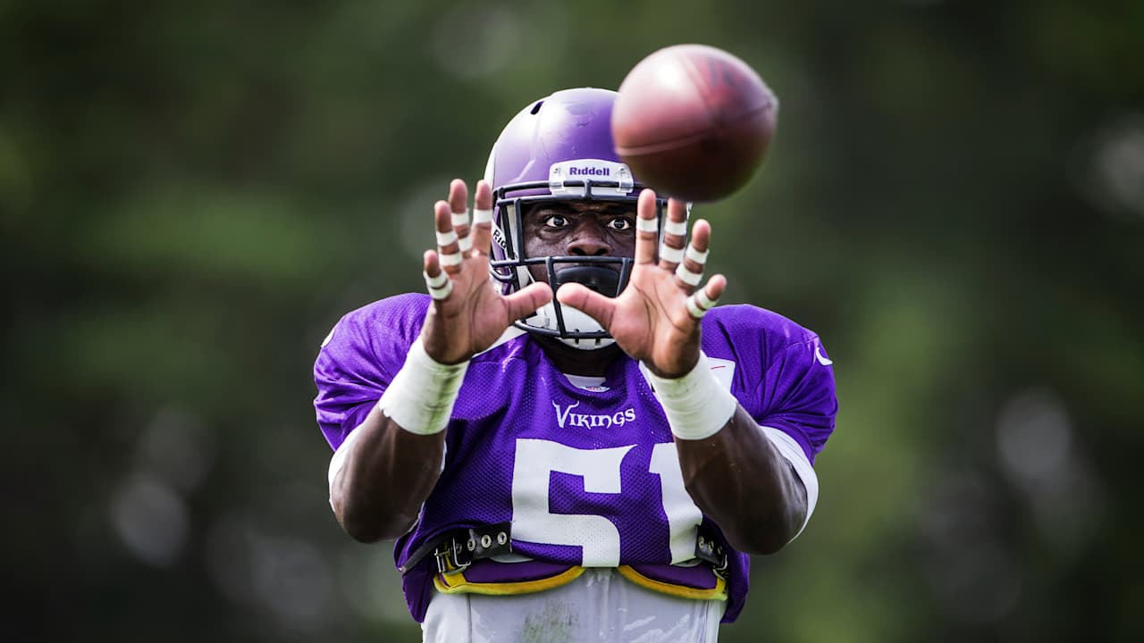 Minnesota Vikings logo