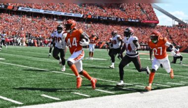 Bengals scored 24 points off 4 Bucs turnovers