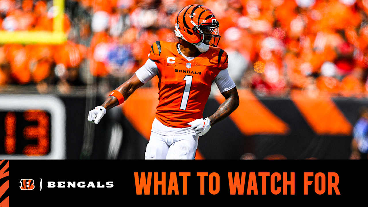Cincinnati Bengals logo