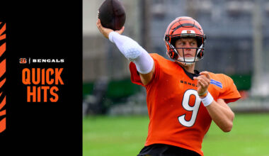 Cincinnati Bengals logo
