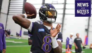 Baltimore Ravens logo