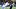 Baltimore Ravens tight end Josh Cuevas tries to stiff arm Dallas Cowboys' defensive back Markquese Bell in Week 3 in Brazil. Baltimore Ravens tight end Josh Cuevas tries to stiff arm Dallas Cowboys' defensive back Markquese Bell in Week 3 in Brazil.
