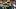 Green Bay Packers fantasy footbaall Green Bay Packers fantasy footbaall