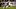 New England Patriots place kicker Andy Borregales