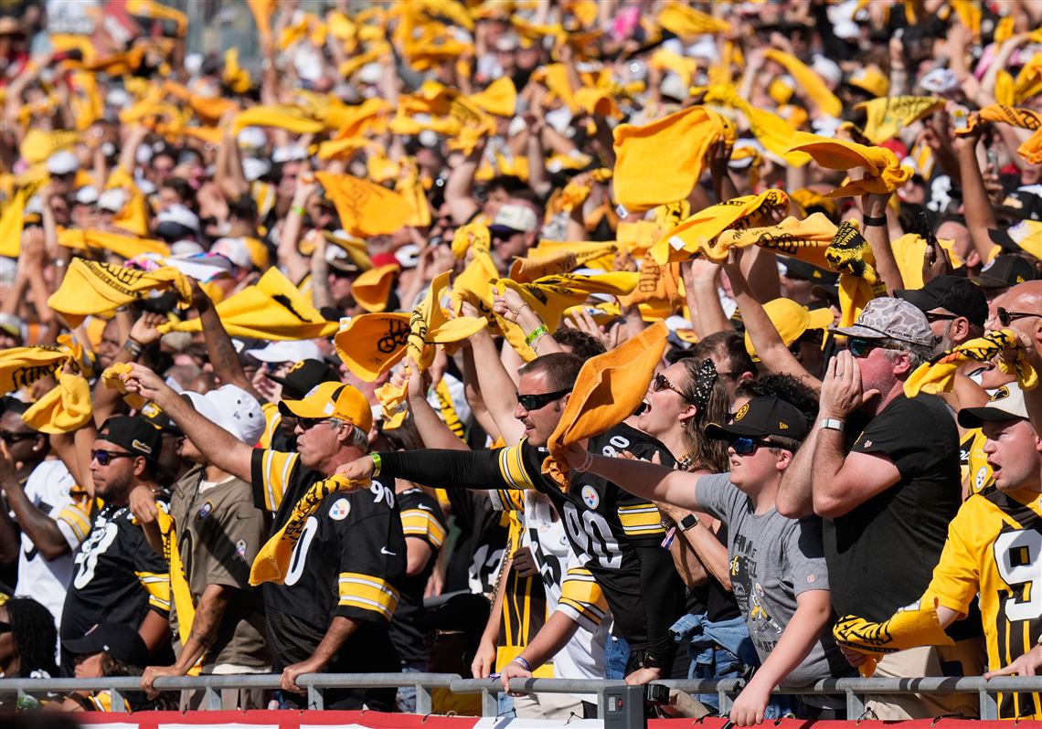 Ray Fittipaldo's Steelers chat transcript: 10.22.26
