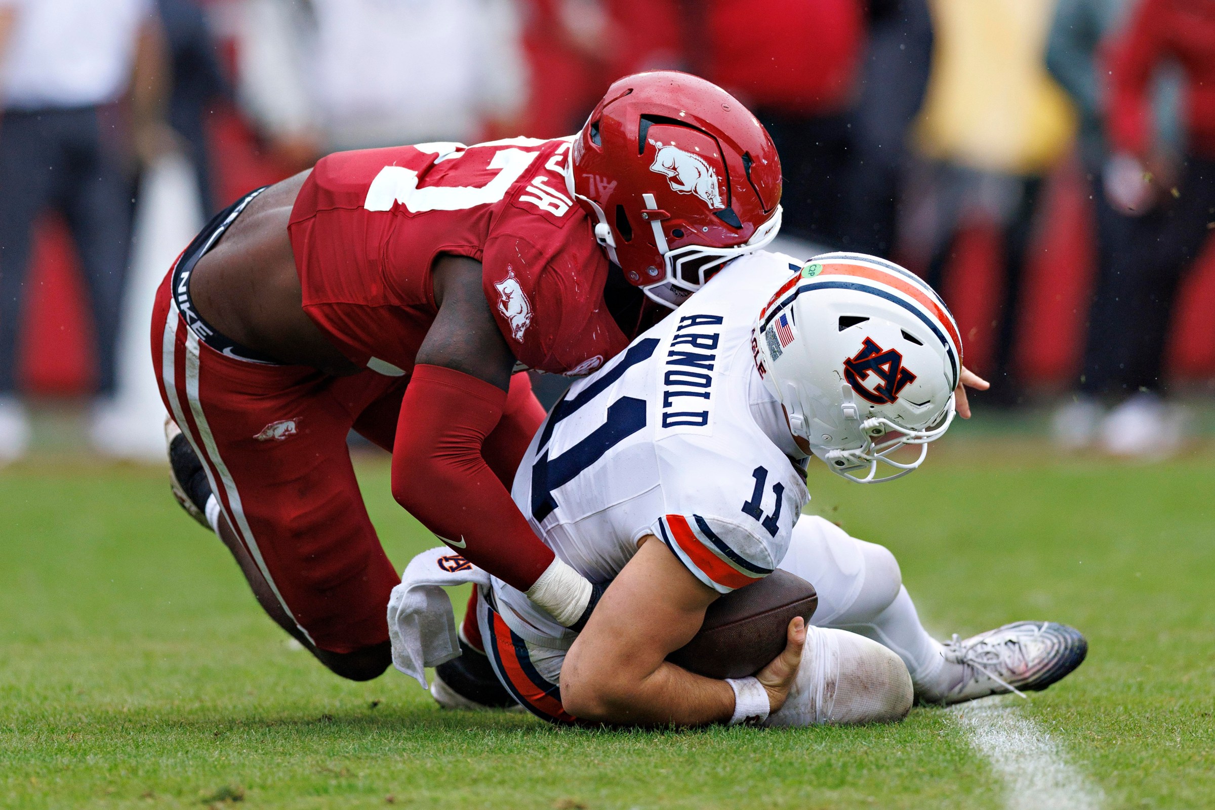FAYETTEVILLE, ARKANSAS - OCTOBER 25: Jackson Arnold #11 of the Auburn Tigers is sacked by Quincy Rhodes Jr. #97 of the Arkansas Razorbacks at Donald W. Reynolds Razorback Stadium on October 25, 2025 in Fayetteville, Arkansas. The Tigers defeated the Razorbacks 33-24. (Photo by Wesley Hitt/Getty Images)