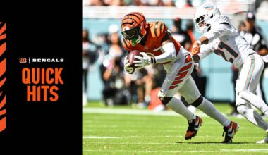 Cincinnati Bengals logo