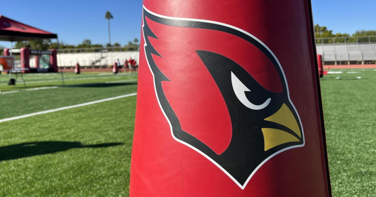 2 former Arizona Cardinals employees sue over accusations including racial discrimination