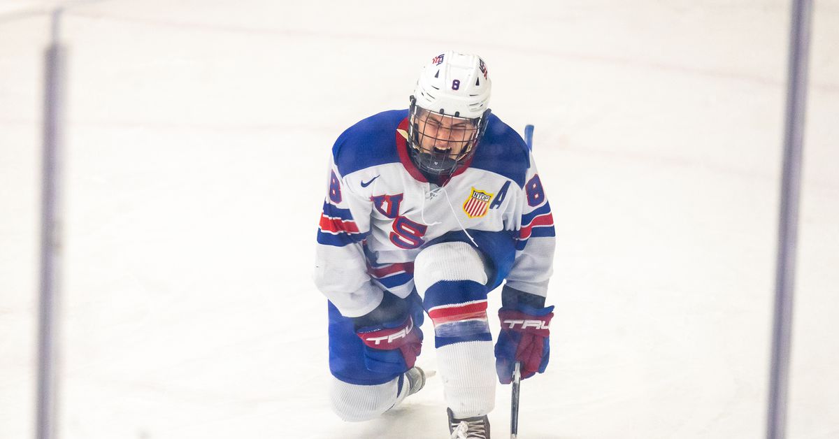 2024 NHL Entry Draft Preview: Teddy Stiga