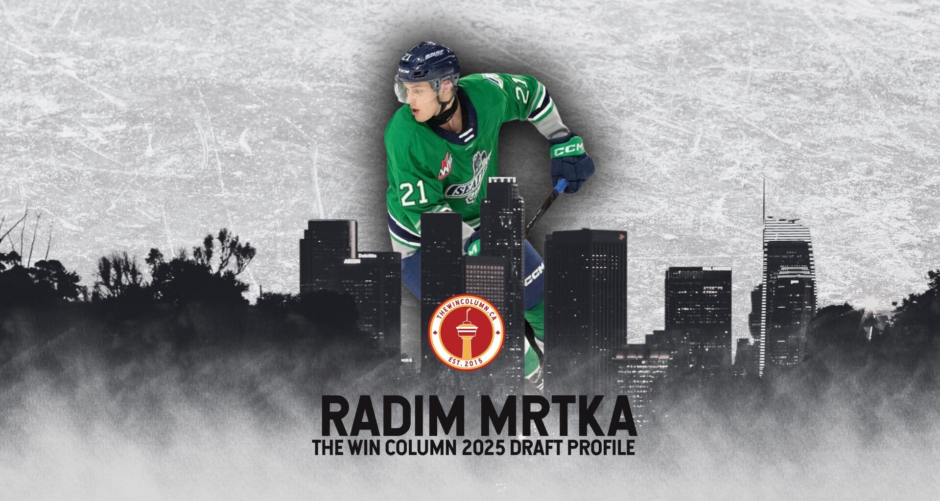 Czechia Defenceman Radim Mrtka: 2025 NHL Draft Profile
