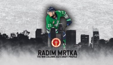 Czechia Defenceman Radim Mrtka: 2025 NHL Draft Profile