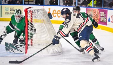 Milwaukee Admirals' Ondrej Pavel in AHL playoffs after college, trade