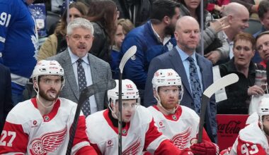 Detroit Red Wings 'good enough to play in playoffs'