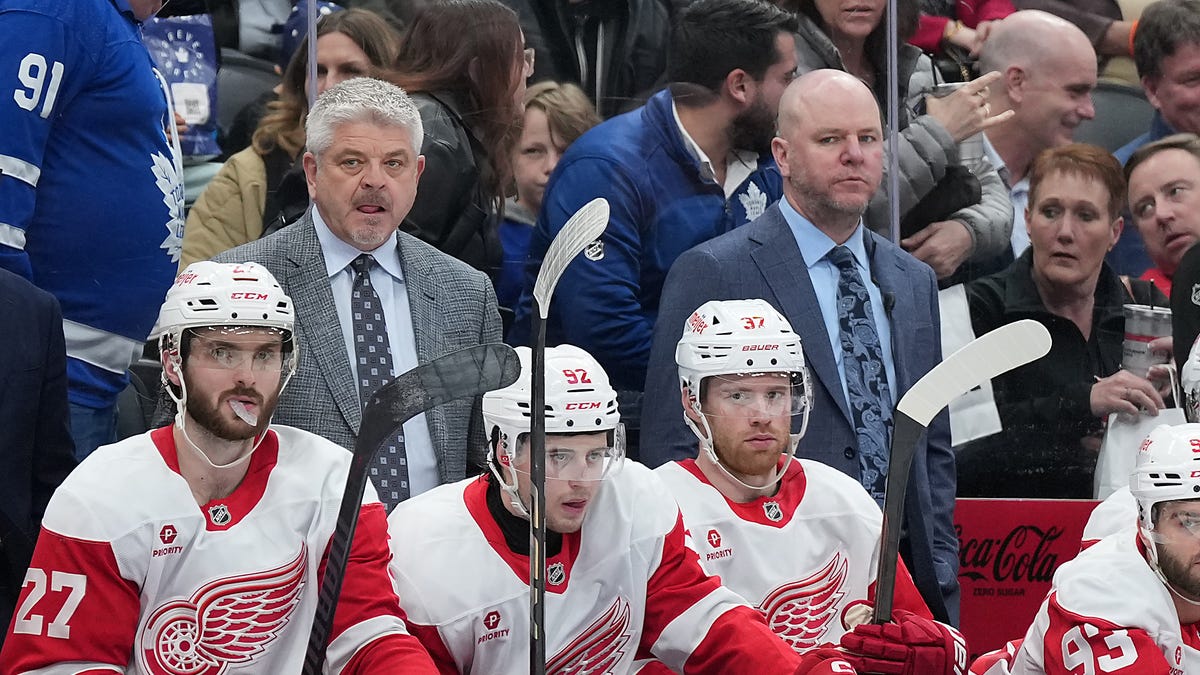 Detroit Red Wings 'good enough to play in playoffs'