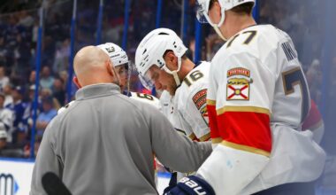 Panthers star leaves game after hit