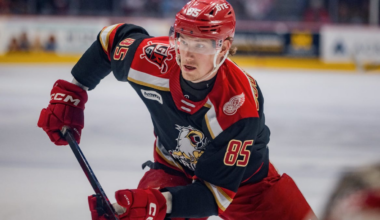 Griffins blanked in playoff opener; Sens keep Battle of Ontario alive