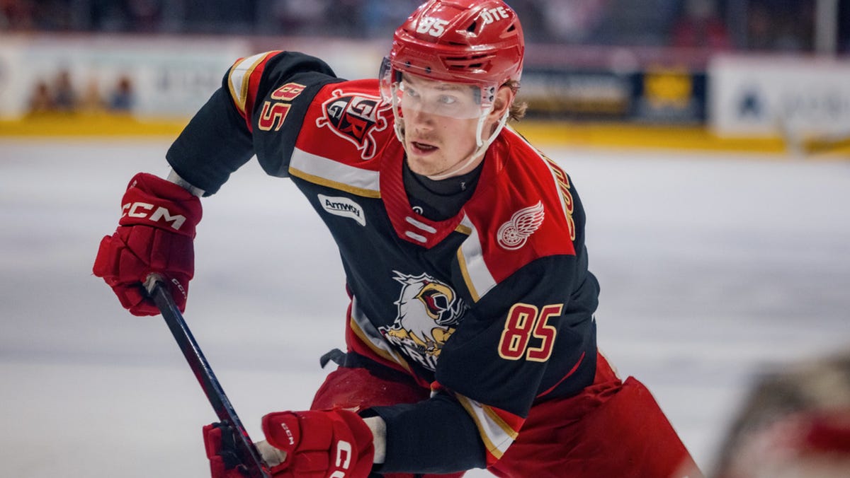 Griffins blanked in playoff opener; Sens keep Battle of Ontario alive