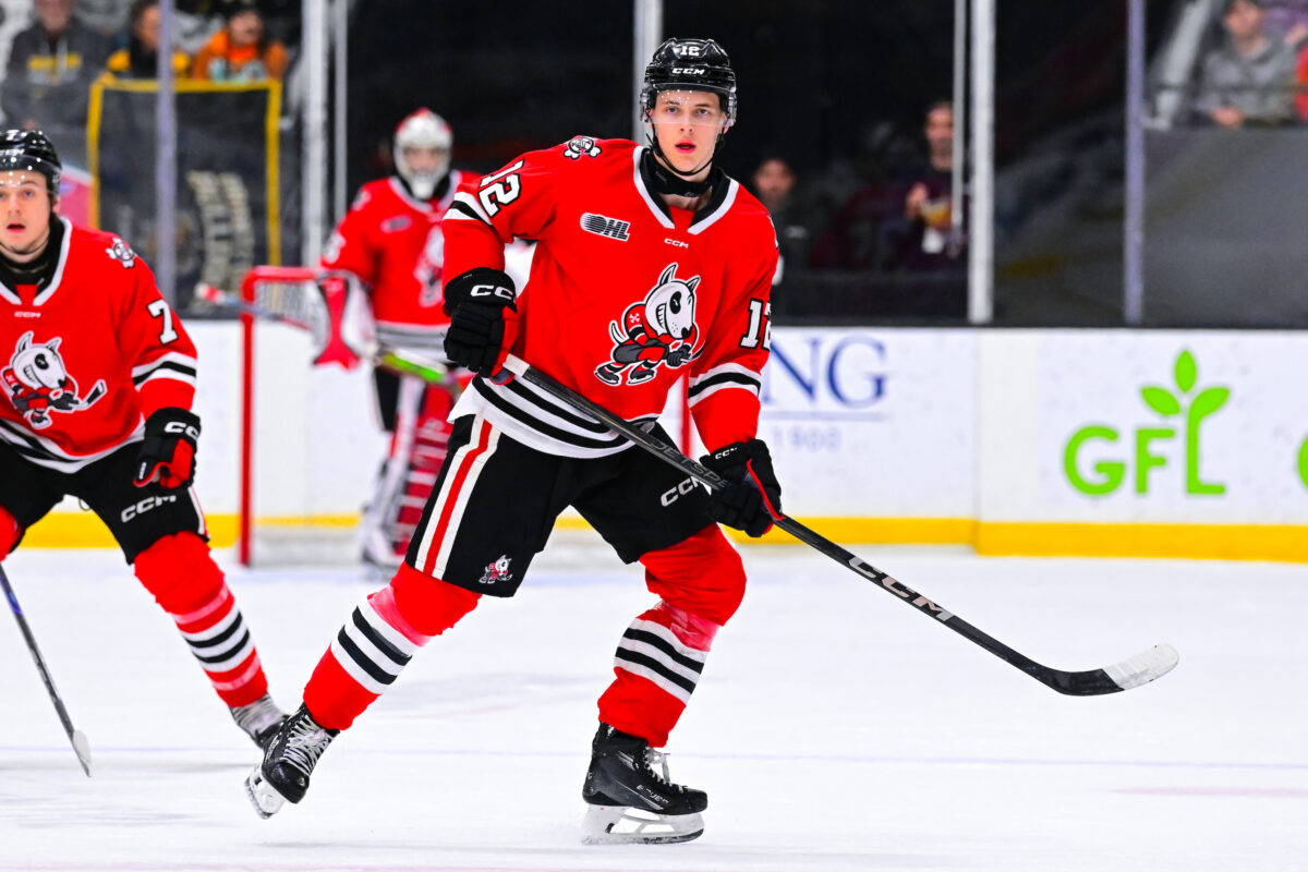 Ethan Czata Niagara IceDogs