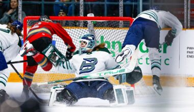 Pro women’s hockey league adding 2 teams, but not in Detroit