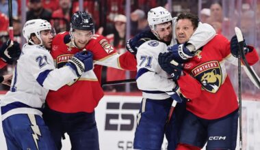 Florida men bring violence to the NHL playoff forefront