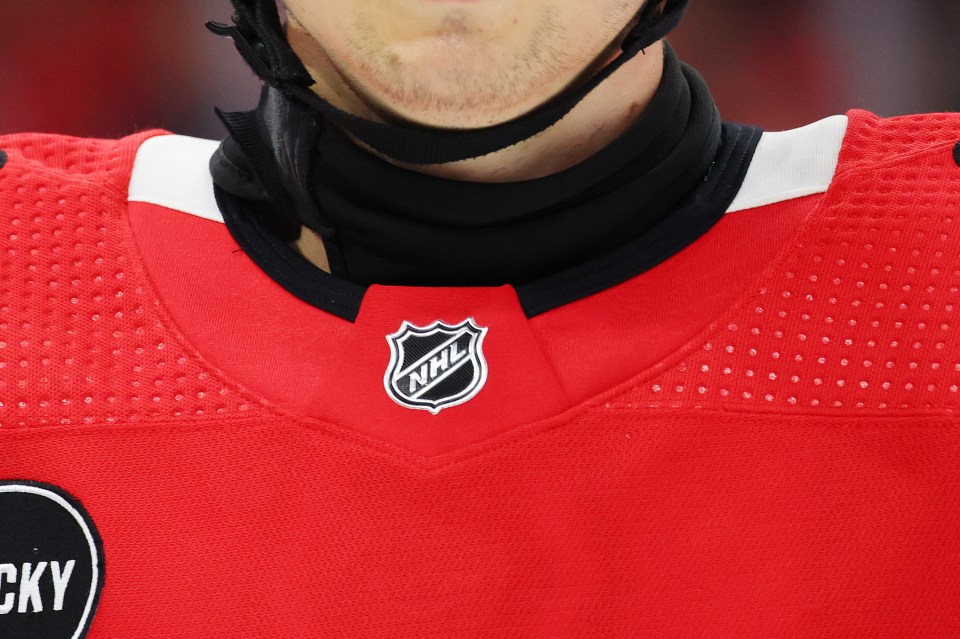 Many players in the NHL now wear cut resistant neck guards