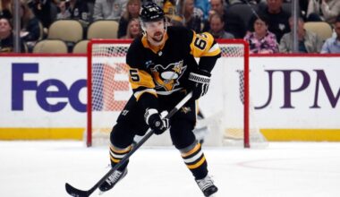 Metropolitan Notes: Karlsson, Islanders, Ashton