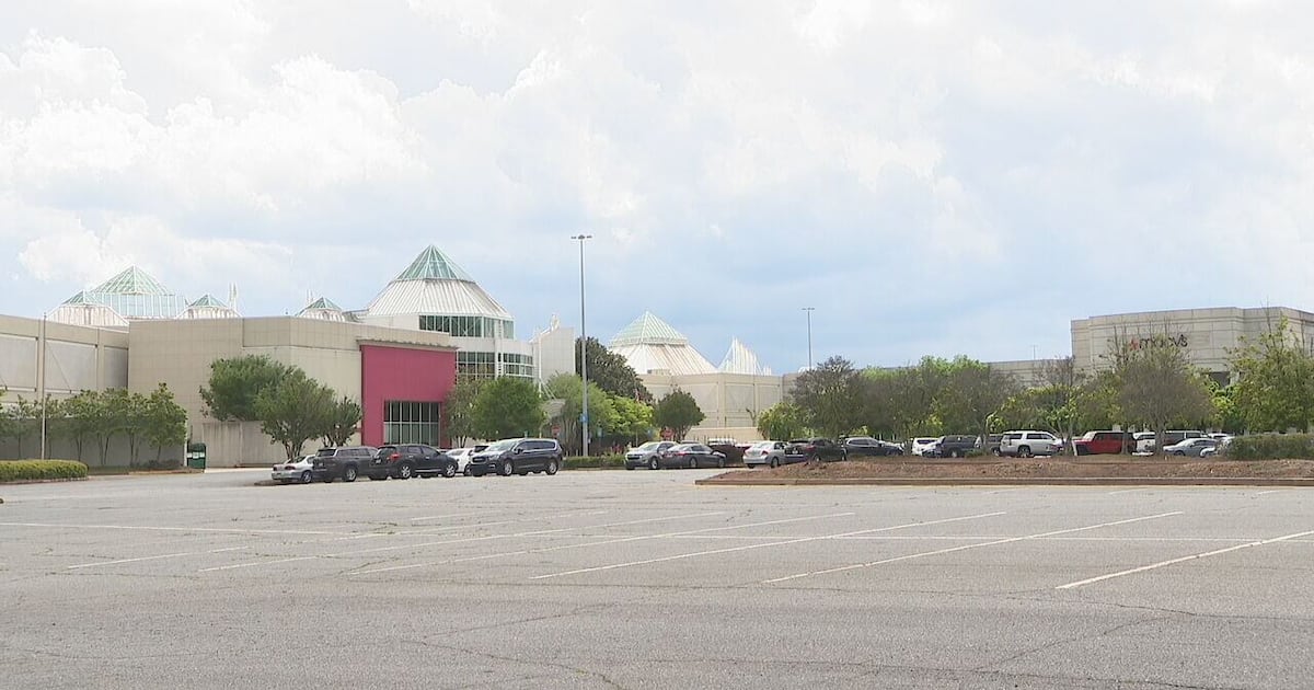 Alpharetta mayor wants North Point ‘best place in the state’ to host pro hockey – WSB-TV Channel 2