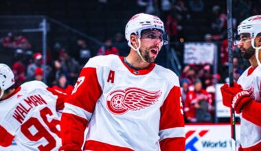 David Perron, Red Wings