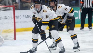 Future UMD defenseman comfortable, confident with identity - Duluth News Tribune