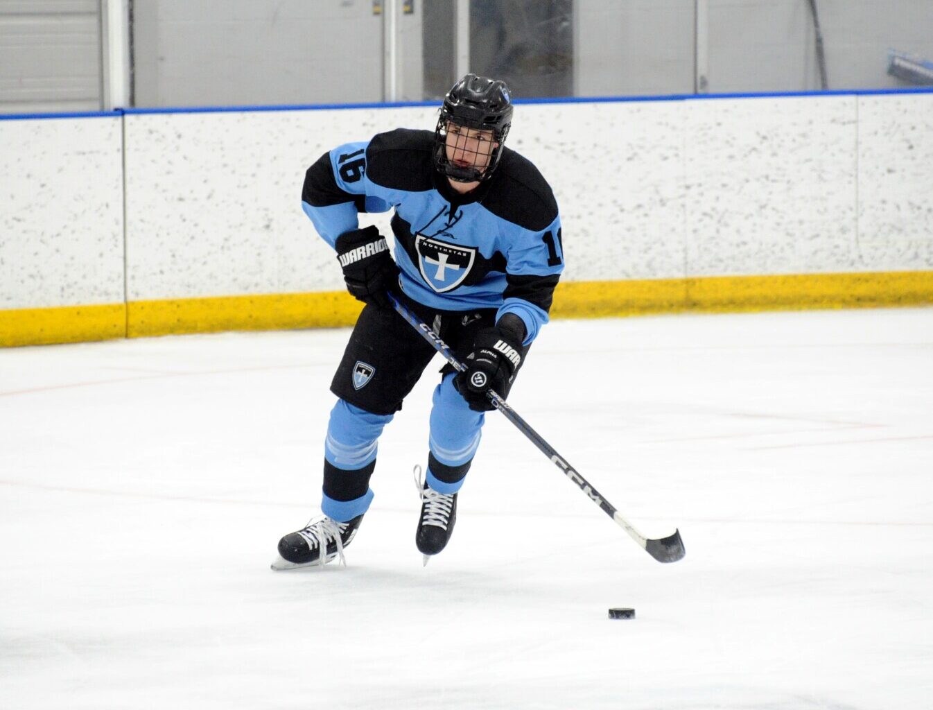 Hockey: Two Northstar alums get selected in NHL Draft - Alexandria Echo Press