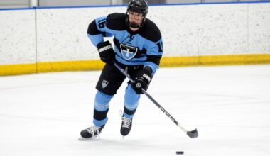 Hockey: Two Northstar alums get selected in NHL Draft - Alexandria Echo Press