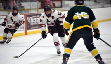Boys Hockey: Alexandria looks back on section runner-up finish - Alexandria Echo Press