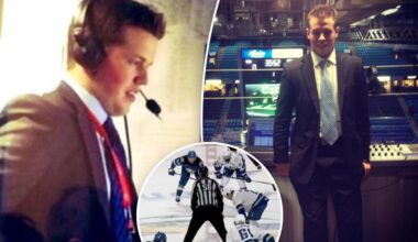 Fan attacked me with my chair during AHL playoff game