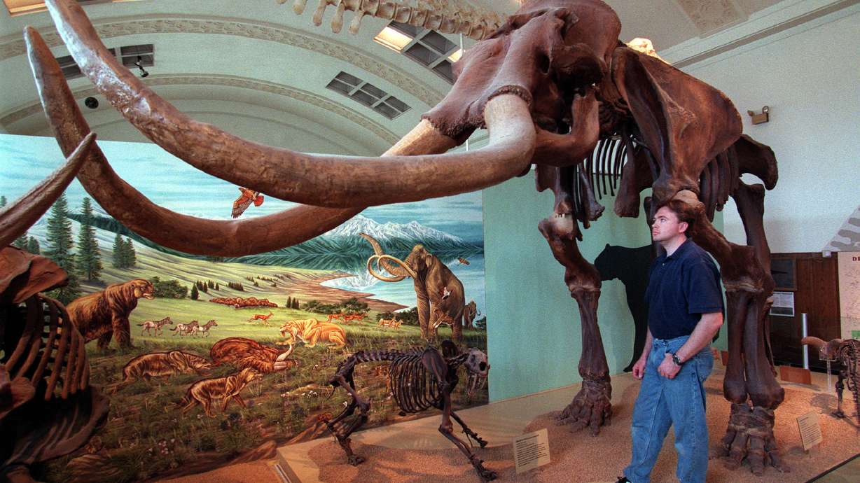 'It became this really cool thing': Utah's long history with mammoths