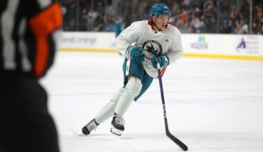 San Jose Sharks sign Mattias Hävelid to entry-level contract