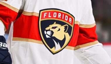 Panthers minority owner suspended for offensive social media posts