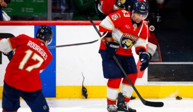 Why the Florida Panthers shoot plastic rats at Brad Marchand