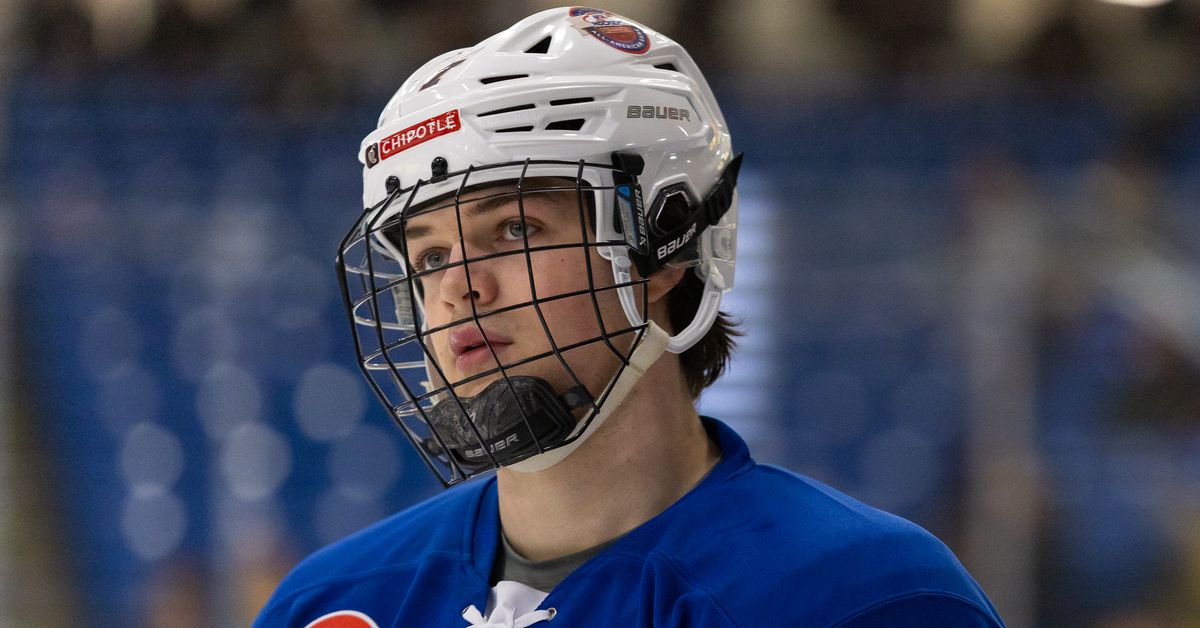 2024 NHL Entry Draft Preview: Will Skahan