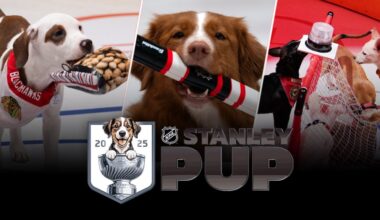 NHL's Stanley Pup 2025 Gets Premiere Date For Rescue Dog Competition (PHOTOS)