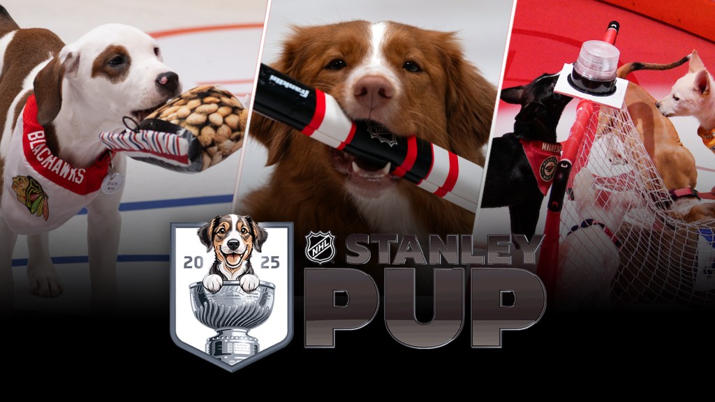 NHL's Stanley Pup 2025 Gets Premiere Date For Rescue Dog Competition (PHOTOS)