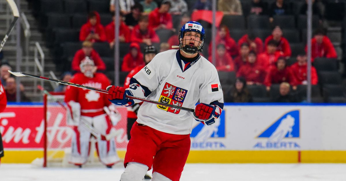 2025 NHL Draft Rankings: #11 Radim Mrtka