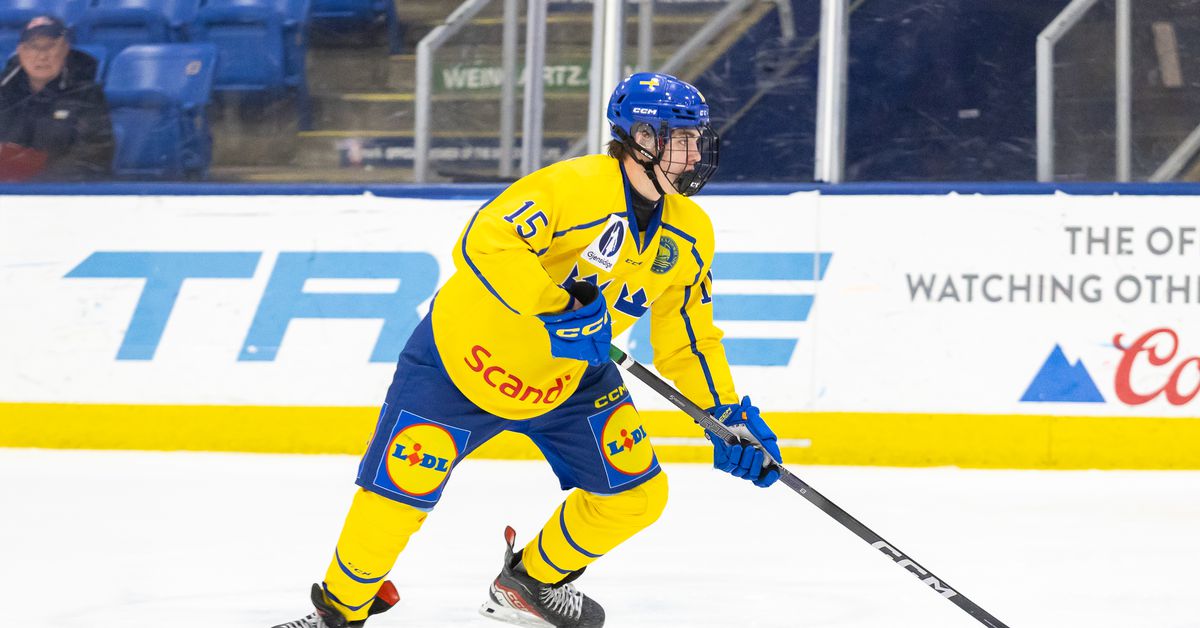 2025 NHL Draft Rankings: #4 Anton Frondell