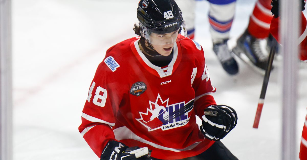 NHL mock draft 2025: Instant projection after lottery determines order