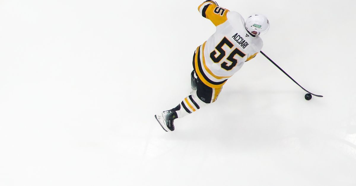 2024-25 Season in Review: Noel Acciari