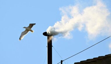 New York Islanders Name Mathieu Darche GM & Exec. VP